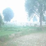 Vraj-Yatra-2014- (1512)